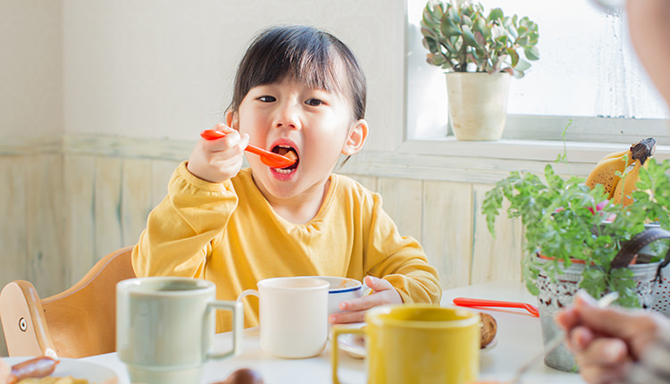 食育の基本