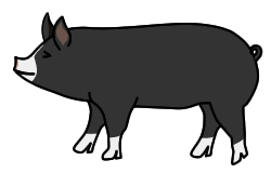 黒豚