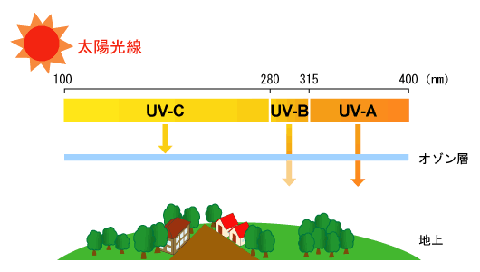 紫外線の種類