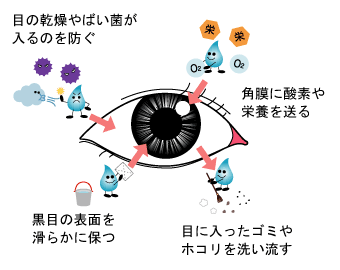 涙の役割