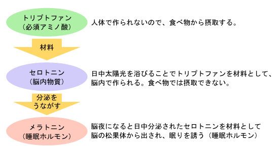 セロトニン・メラトニンを作る