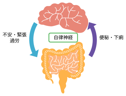 脳と腸の関係