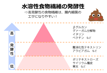 水溶性食物繊維の発酵性