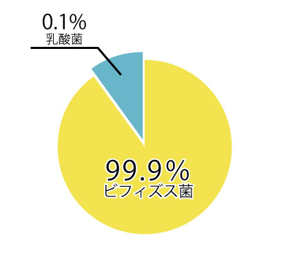 菌の違い_グラフ