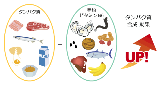 亜鉛と冷えの意外な関係