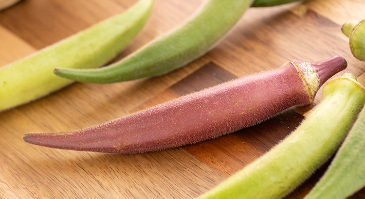 野菜を食べよう！③～日本の珍しい野菜～