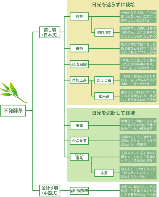 不発酵茶の分類と簡単な説明