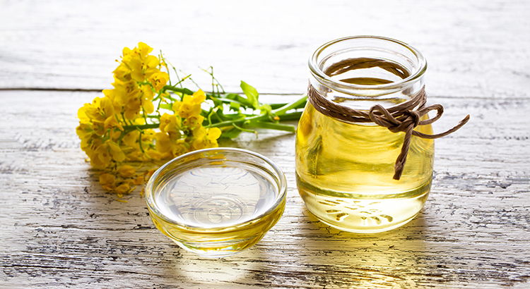 原材料「植物油脂」って何？