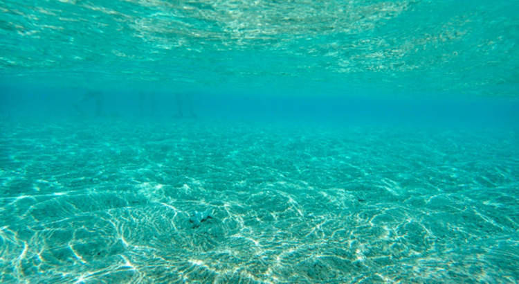 綺麗な海