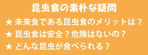 昆虫食の素朴な疑問