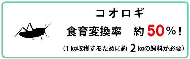 コオロギ　食育変換率　約50％