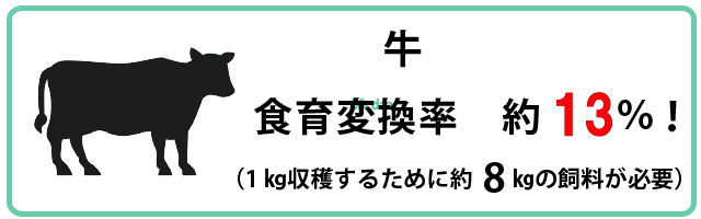 牛　食育変換率　約18％