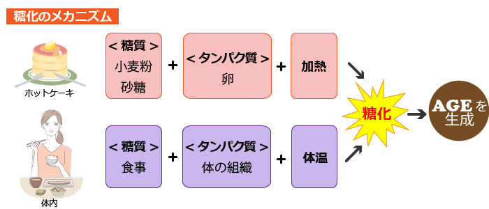 糖化のメカニズム