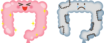 食物繊維の力で腸からきれいに！