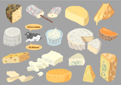 色々なチーズ