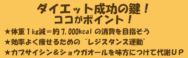 ダイエット成功の鍵！ココがポイント！