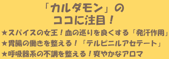 「カルダモン」のココに注目！