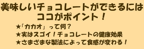 美味しいチョコレートができるには ココがポイント！