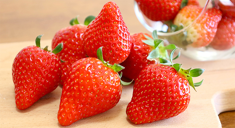 旬のイチゴを堪能しましょう！